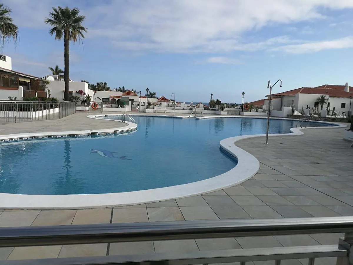 Beril D17 Apartment Costa Adeje  Costa Adeje (Tenerife)